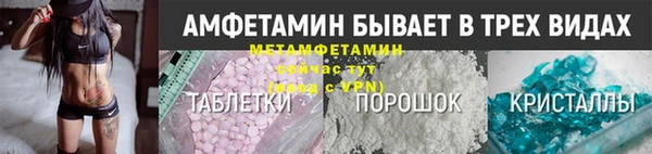 ГАЛЛЮЦИНОГЕННЫЕ ГРИБЫ Белокуриха