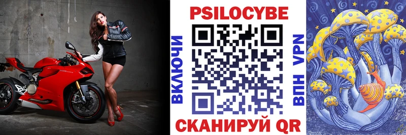 mega ONION Кинешма Галлюциногенные грибы Psilocybine cubensis